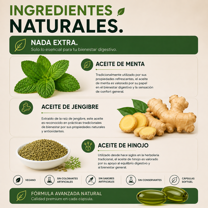 RecVital | Bienestar desde adentro