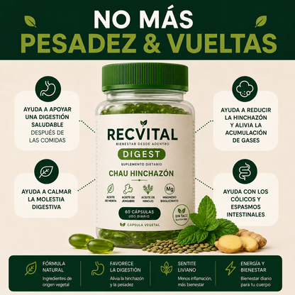 RecVital | Bienestar desde adentro